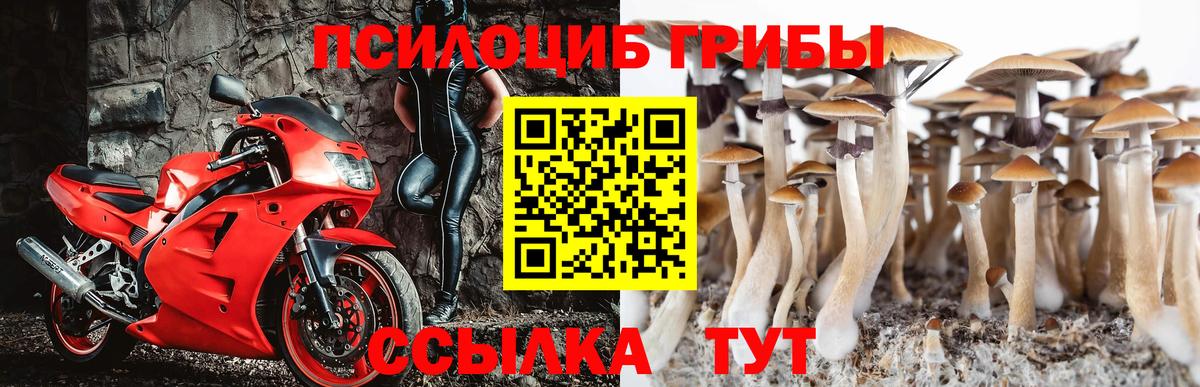 Галлюциногенные грибы мухоморы Кемерово