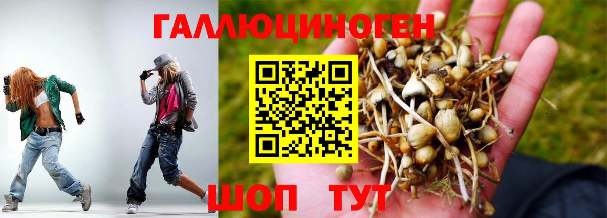 Псилоцибиновые грибы GOLDEN TEACHER  Галлюциногенные грибы мицелий  Вход с VPN  Кемерово 